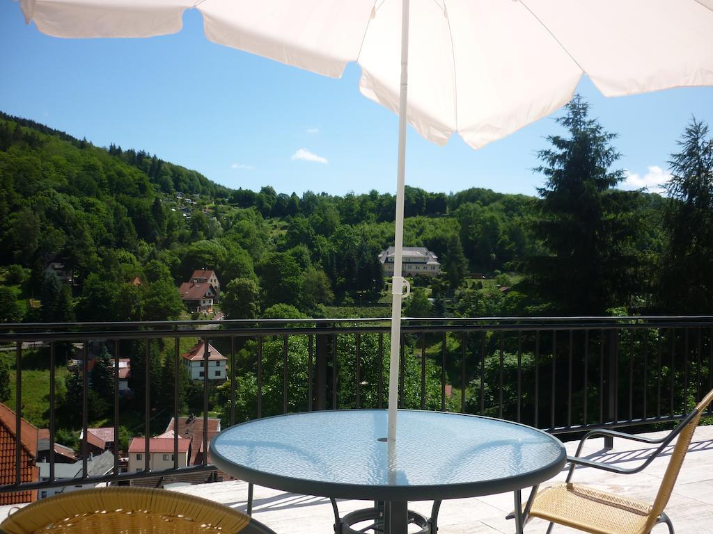 Hotel Waldhaus-Hutzelhoeh Ruhla Buitenkant foto